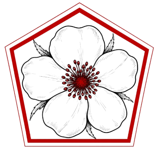 cropped-Rose_Aubepine_3-removebg-preview.png